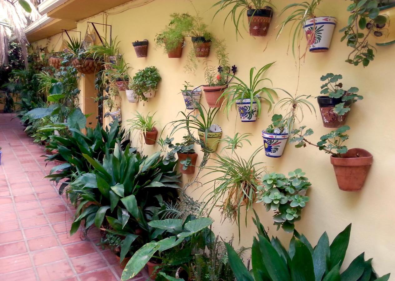 Appartement Casa Esperanza à Málaga Extérieur photo